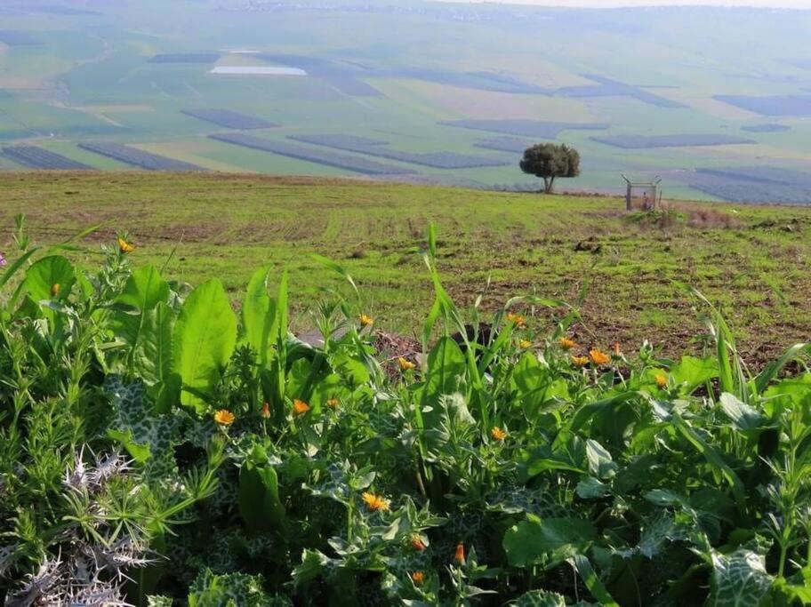 Suite Kolibri In Galilee Semadar Eksteriør bilde
